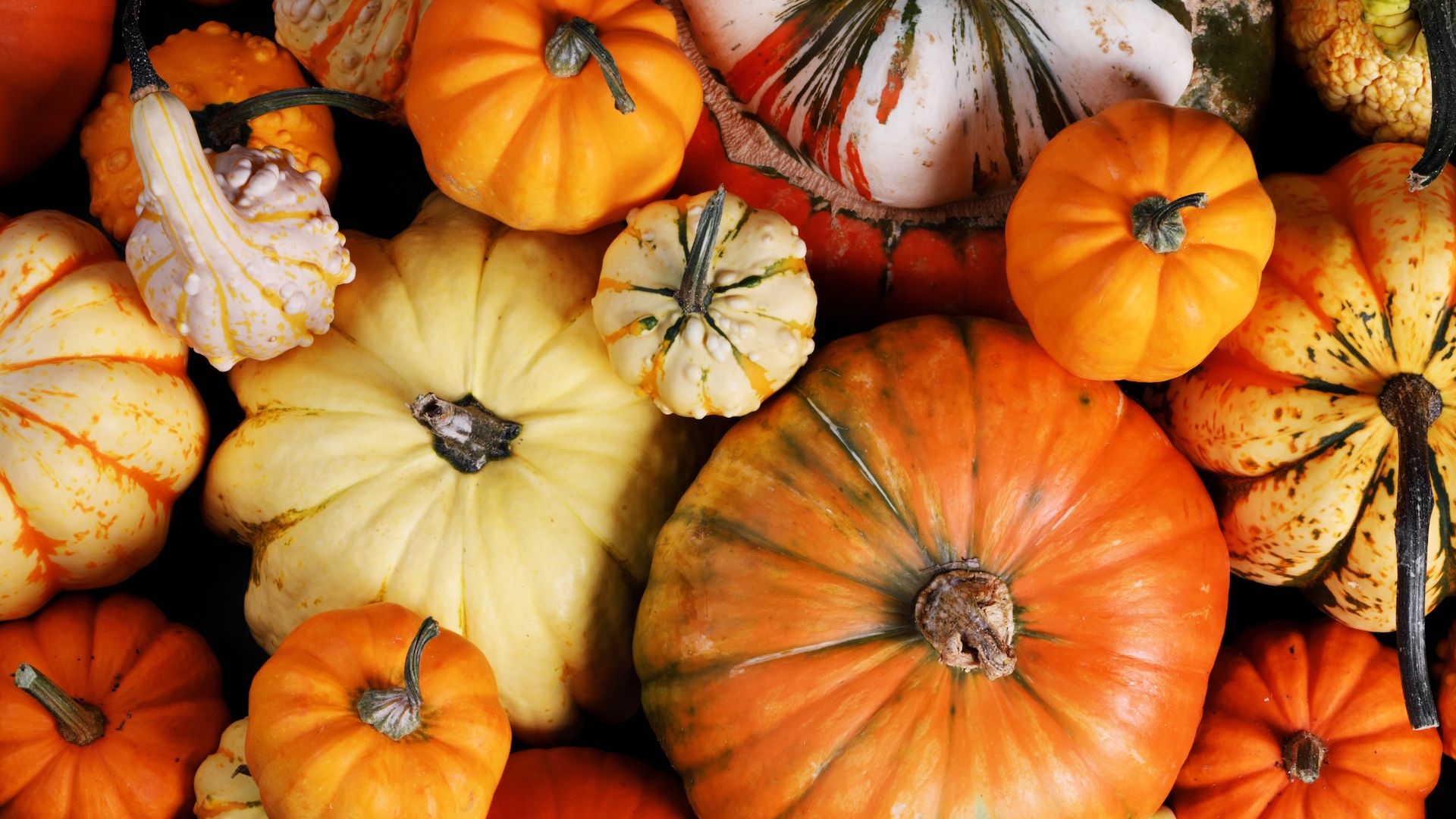 Zucca di Halloween: idee e ricette per una festa… da paura!